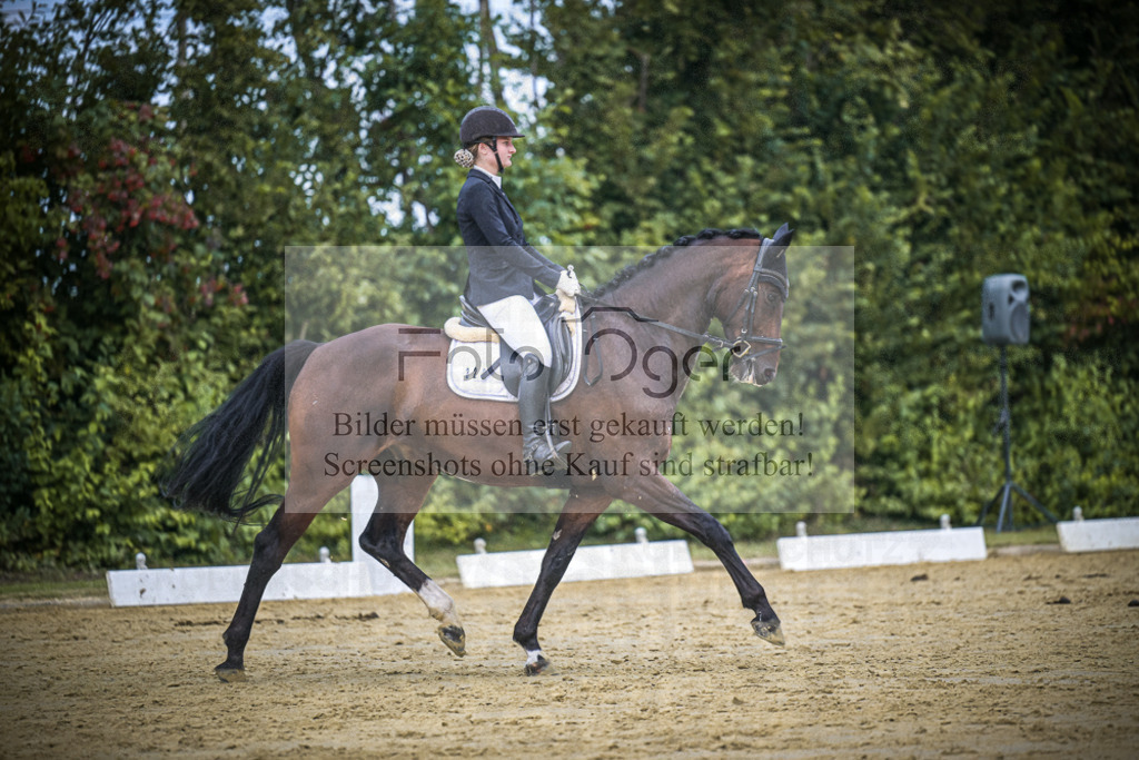 DOS_3545 | Entdecke hochwertige Reitturnierfotos von Foto Oger. Professionell, emotional und authentisch – jetzt Lieblingsmomente im Shop bestellen.Deutschlandweite Turnierfotografie. - Realisiert mit Pictrs.com
