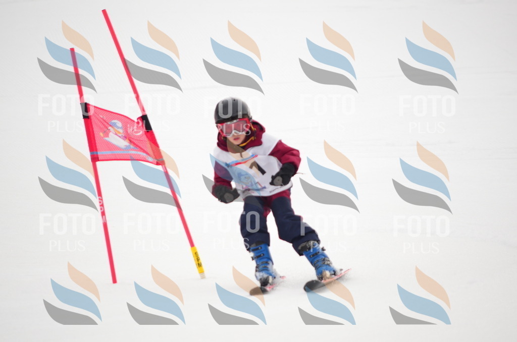 B9484 | holidayphoto