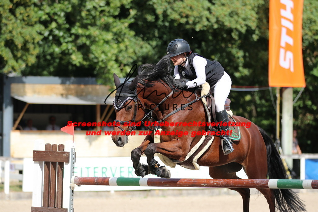 IMG_0728 | lmwpictures - Realisiert mit Pictrs.com