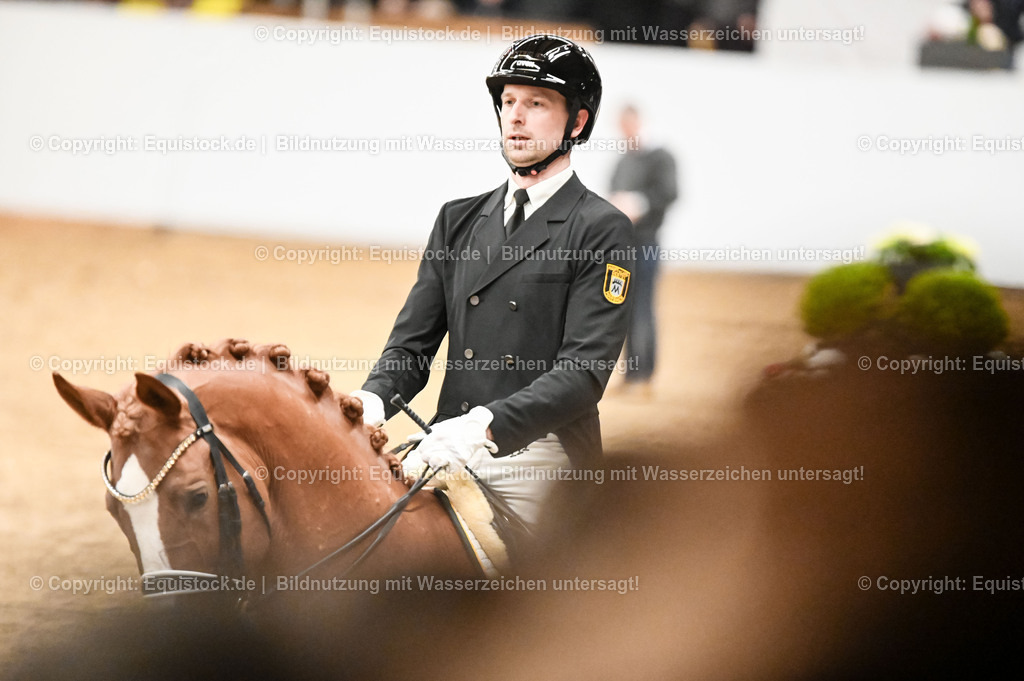 20260307_Hengstvorstellung-Marbach_0311 | equistock