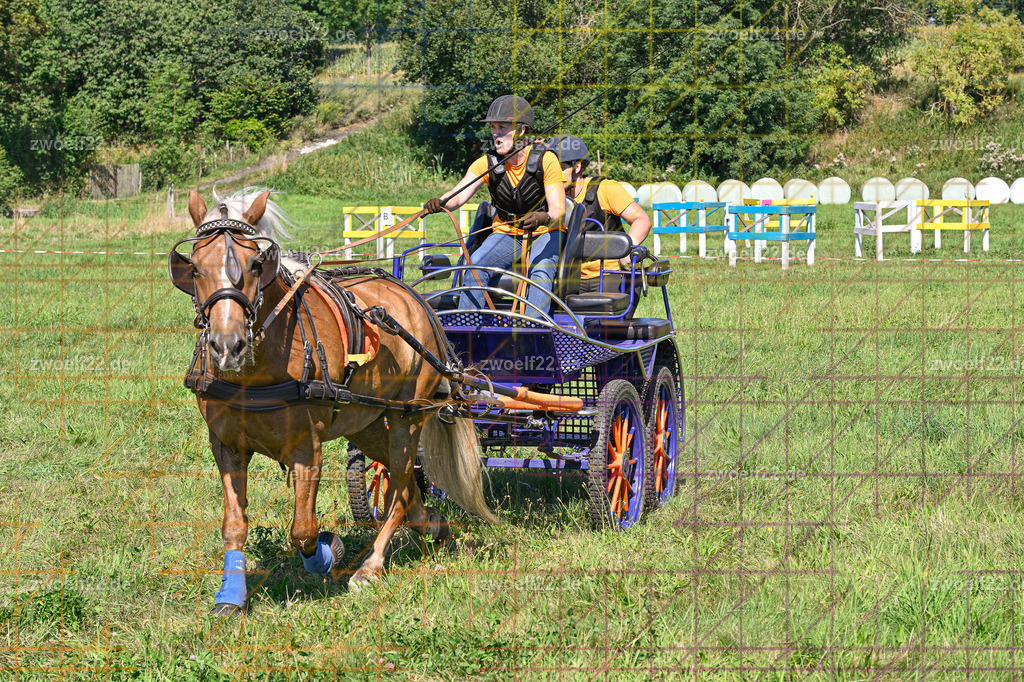 30 Jahre RFV Pulsnitz e.V., Pulsnitz am 09.08.2026 | 30Jahre Reit- und Fahrverein Pulsnitz e.V., Pulsnitz am 08.08.2026Zur 28. breitensportlichen Veranstaltung des RFV Pulsnitz e.V. fanden verschiedene Wettbewerbe in nahezu allen Disziplinen des Pferdesport statt.- Geländefahr-Wettbewerb - Realisiert mit Pictrs.com