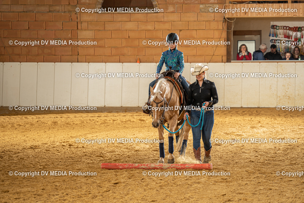 MIT01237 | dv-media-shop - Realisiert mit Pictrs.com