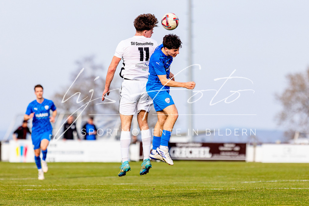 FCEK - SV Gonsenheim | FCEK - SV Gonsenheim - Realisiert mit Pictrs.com