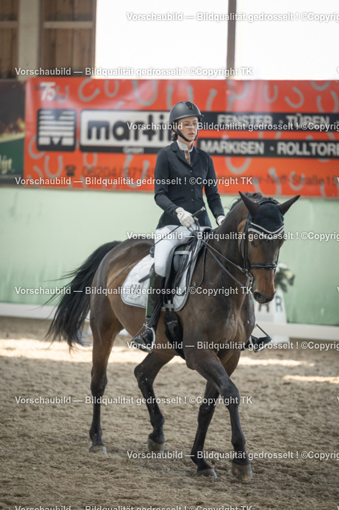 _D5A2929 | Emotionale Pferde- & People-Fotografie rund um Heidelberg, Leimen & Umgebung. Natürliche Fotos von Pferd, Mensch & Familie. Jetzt Termin sichern!