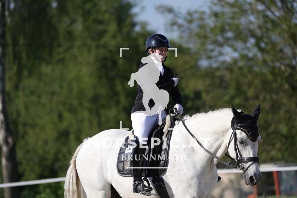 0P6A0989 | Willkommen bei Brunnmayr - Design & Fotografie – Ihrem Spezialisten für Reitturniere und Pferdeveranstaltungen in Oberösterreich, Salzburg und Bayern! Seit über 17 Jahren sind wir leidenschaftlich dabei.