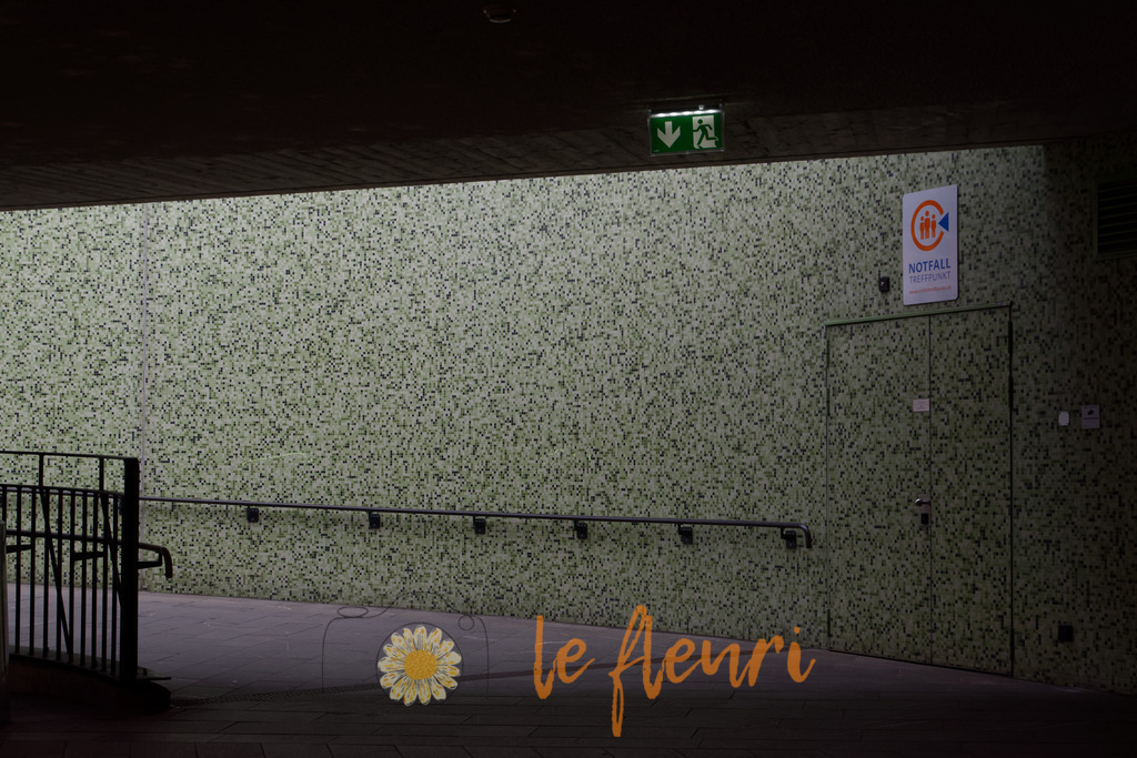 DSC_0070-NEF_DxO_PRIME | Dies ist der Shop von Florian Blum - le fleuri. Langenthal, Bern, Schweiz. Sie können hier meine oder ihre eigenen Fotos als Fotoprodukte kaufen. Tassen, Schlüsselanhänger, Taschen etc. können Sie hier gestalten.  - Realisiert mit Pictrs.com