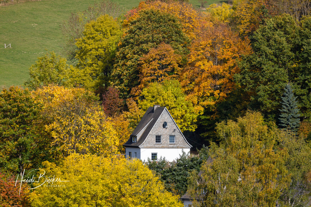 Westfeld und Umgebung 064 | Bilder und Impressionen zu jeder Jahreszeit aus dem Sauerland im Naturpark Sauerland-Rothaargebirge - Realisiert mit Pictrs.com