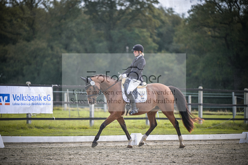 DOS_B197 | Entdecke hochwertige Reitturnierfotos von Foto Oger. Professionell, emotional und authentisch – jetzt Lieblingsmomente im Shop bestellen.Deutschlandweite Turnierfotografie. - Realisiert mit Pictrs.com