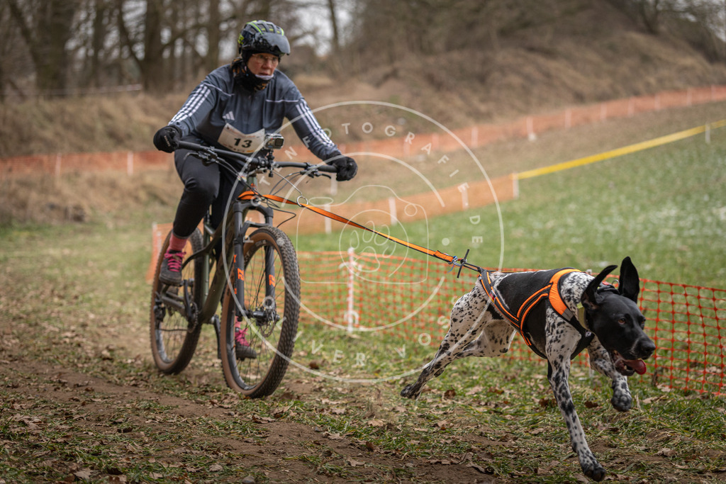 Pfotenfotografie_DV3A6793 | Hundefotografie, Tierfotograf, Pfotenfotografie, Fotoshooting Hund, Hunde Portrait, Hundesport, Hundeportraits, Heideshooting, Hunde, Sportfotograf, Hundefotograf, Turnierhundsport, THS,  - Realisiert mit Pictrs.com