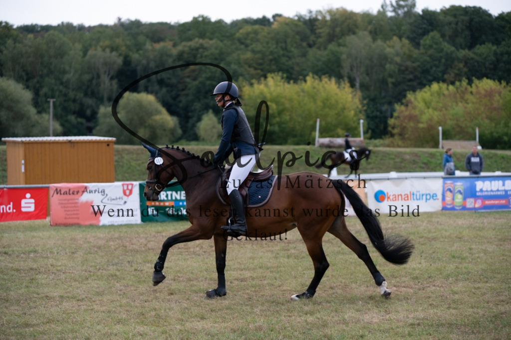 A7V07869 | Turnier/Reitfotograf