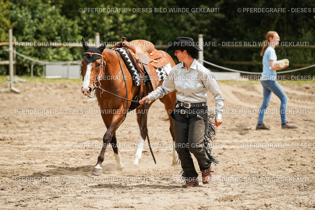 DSC08908 | Pferdegrafie