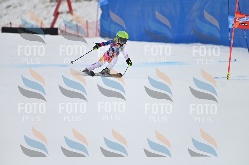 BGV_2328 | holidayphoto