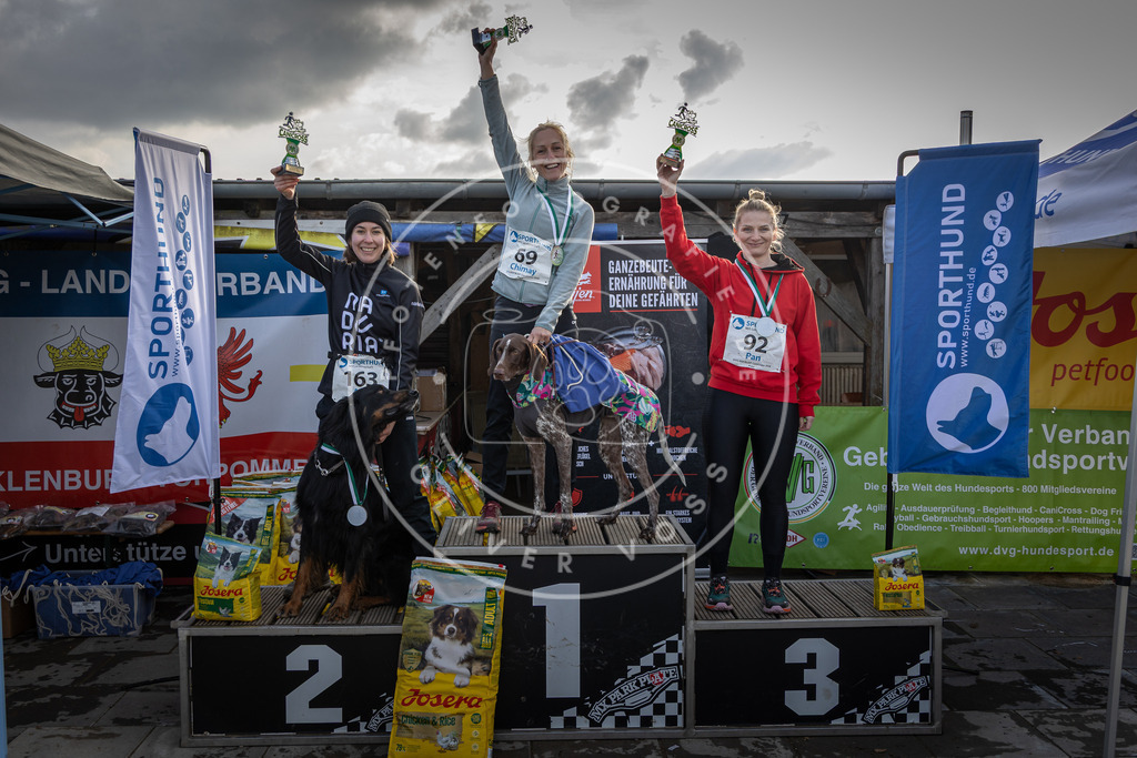 0L8A9178 | Hundefotografie, Tierfotograf, Pfotenfotografie, Fotoshooting Hund, Hunde Portrait, Hundesport, Hundeportraits, Heideshooting, Hunde, Sportfotograf, Hundefotograf, Turnierhundsport, THS,  - Realisiert mit Pictrs.com