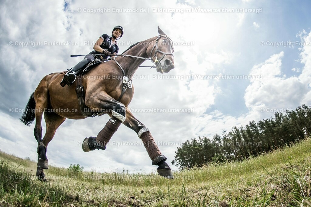 TS_20180615_Julia_Mestern_0015 | equistock