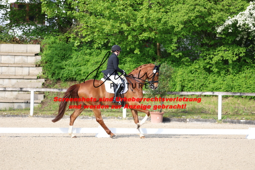 A40A3329 | lmwpictures - Realisiert mit Pictrs.com