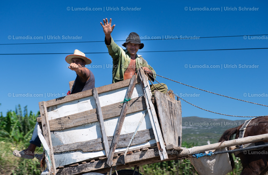 202510-114 | Stockfoto und Bilderpool mit Bildmaterial aus Deutschland, dem Harz, Halberstadt, Quedlinburg, Wernigerode und weltweit. Qualitativ hochwertige und professionelle Fotos anschauen und kaufen. - Realisiert mit Pictrs.com