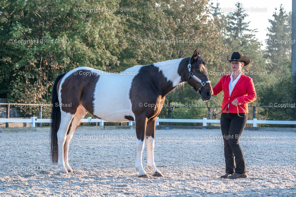 HOB07699 | BS-foto