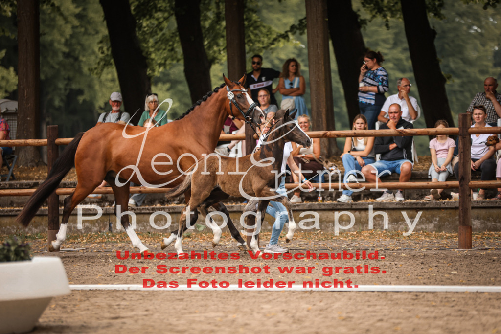 SaFohlen00079 | Leoni Ertmer Photography - Realisiert mit Pictrs.com
