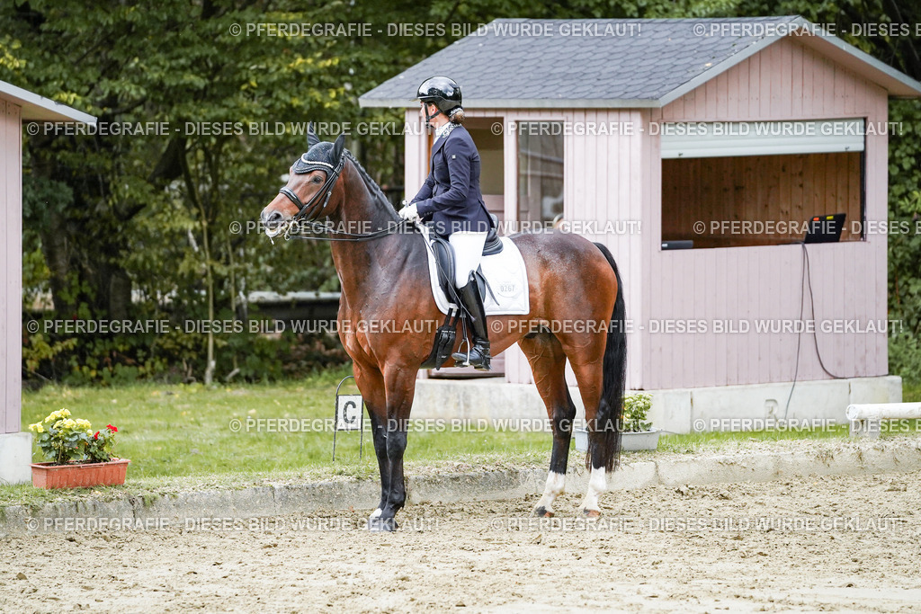 DSC06601 | Pferdegrafie