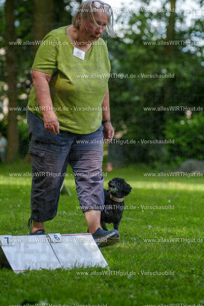@allesWIRTHgut_Tierfotografie - www.allesWIRTHgut.de - 125026-7R509497 | Professionelle Tierfotografie in Mönchengladbach von Daniel Wirth (allesWIRTHgut). Liebevolle & natürliche Bilder von Hunden & Katzen für unvergessliche Erinnerungen.