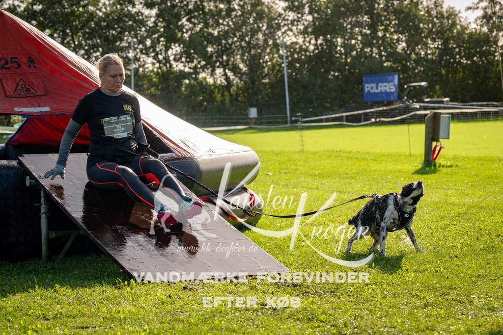 1113-91851 | kk-dogfotos