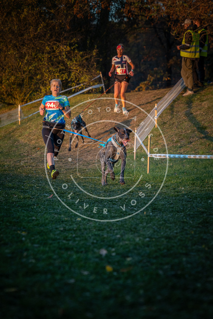 CaniXpix_0L8A1980 | Hundefotografie, Tierfotograf, Pfotenfotografie, Fotoshooting Hund, Hunde Portrait, Hundesport, Hundeportraits, Heideshooting, Hunde, Sportfotograf, Hundefotograf, Turnierhundsport, THS,  - Realisiert mit Pictrs.com