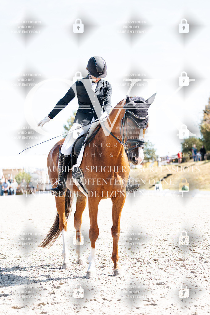 CK909585 | Turnierfotografie Pferdefotografie Trier Rheinland-Pfalz Pferdesport Reitsport Tierfotografie Sportfotografie Pferdevideo Pferdevideografie Equestrianvideography equestrianphotography  - Realisiert mit Pictrs.com