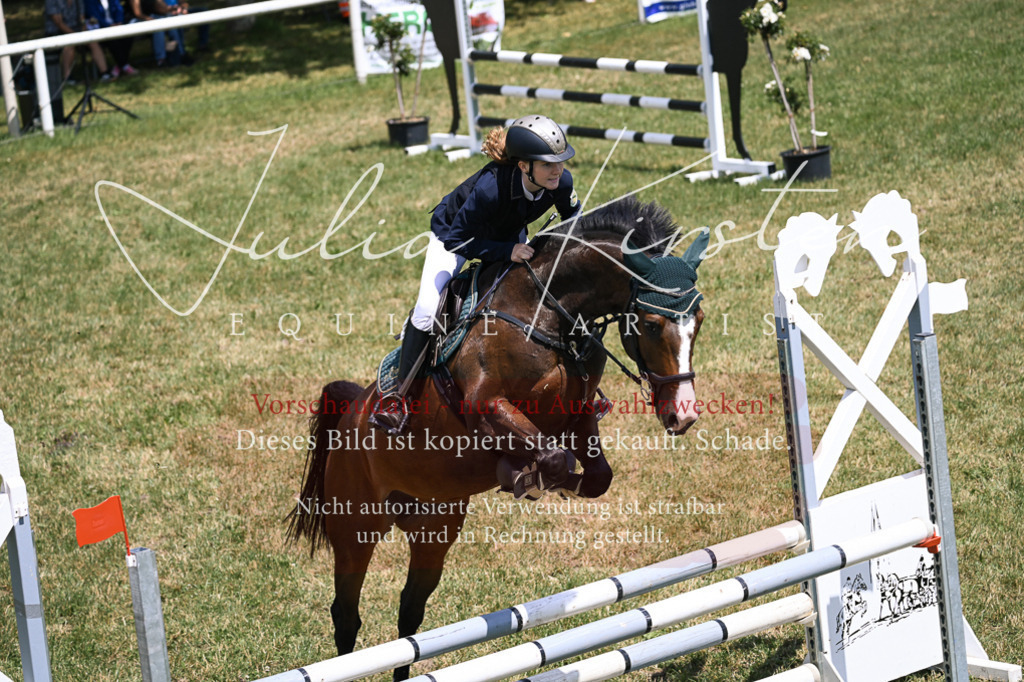 DSC_9724 | Pferde- und Turnierfotografie in Westsachsen. Pferdeportraits, Auftragszeichnungen und intuitive Kunst.