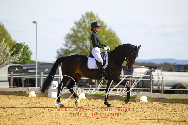 DKP43327 | Turniersportfotografie; Pferdefotografie; Dressurfotografie