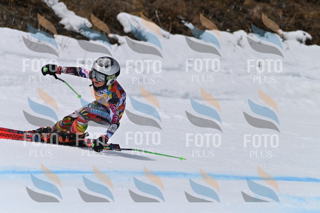 BGV_5227 | holidayphoto