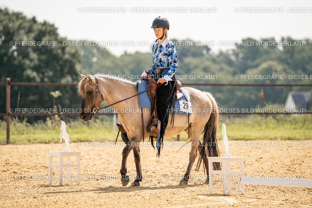 DSC09693 | Pferdegrafie