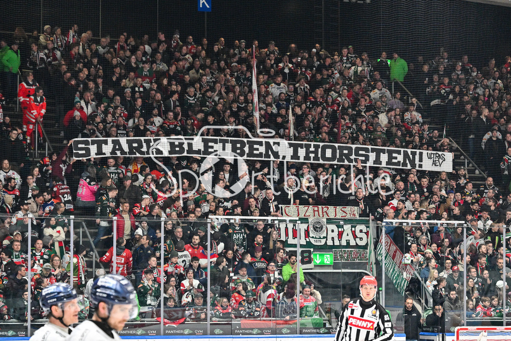 Augsburger Panther - Düsseldorfer EG | Spurchband Thorsten / DEL: Augsburger Panther - Duesseldorfer EG, Curt Frenzel Stadion am 04.03.2025