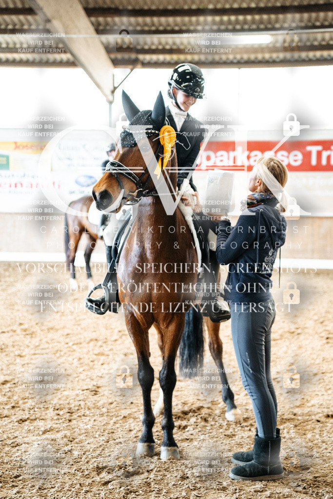 CK703127 | Turnierfotografie Pferdefotografie Trier Rheinland-Pfalz Pferdesport Reitsport Tierfotografie Sportfotografie Pferdevideo Pferdevideografie Equestrianvideography equestrianphotography  - Realisiert mit Pictrs.com