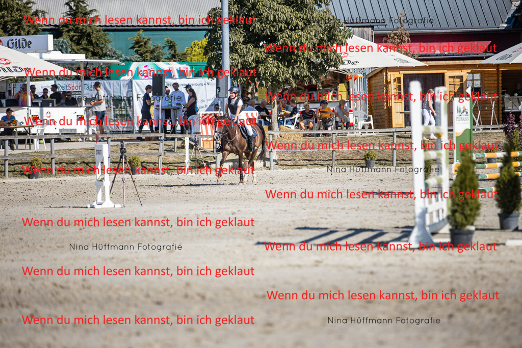 BK1A8037 | Turnierbilder Turnierfotos Nina Hüffmann Turnierfotografie Pferdefotografie Tierzeichnung Haustierzeichnung Pferdezeichnung Hundezeichnung Videograf  - Realisiert mit Pictrs.com