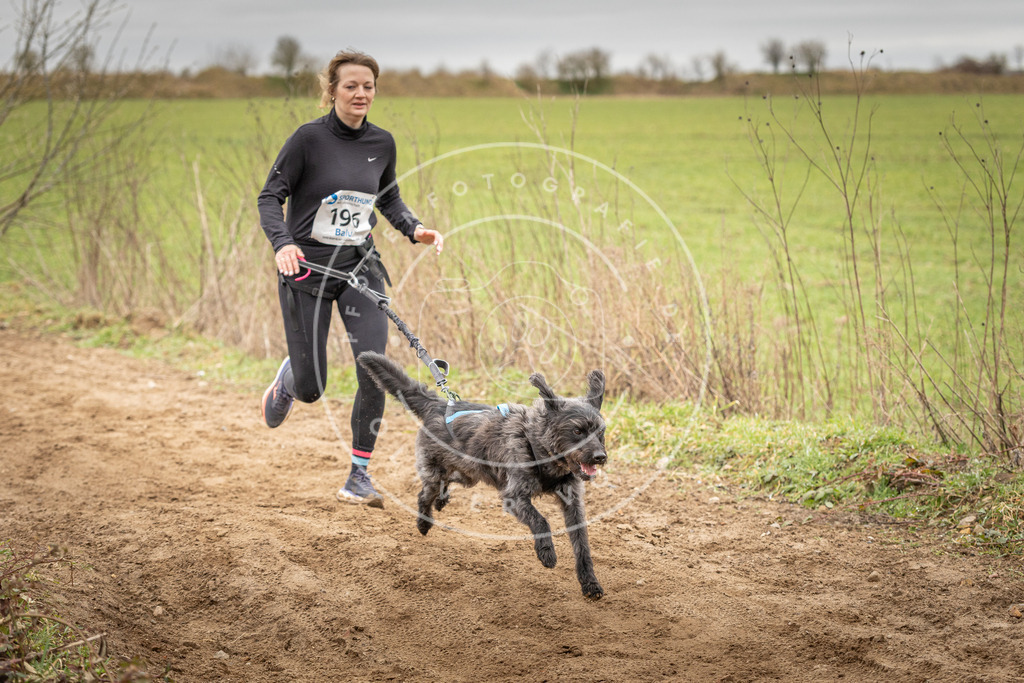 DV3A2359 | Hundefotografie, Tierfotograf, Pfotenfotografie, Fotoshooting Hund, Hunde Portrait, Hundesport, Hundeportraits, Heideshooting, Hunde, Sportfotograf, Hundefotograf, Turnierhundsport, THS,  - Realisiert mit Pictrs.com