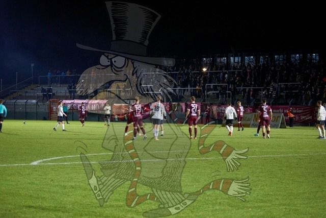 BFC Dynamo vs. ZFC Meuselwitz   022 | mythos-online-redaktion