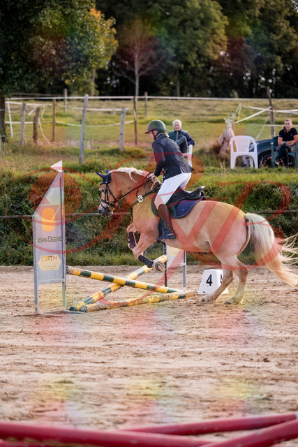 2026_10_03_Siefer-Hof_145305_Z81_32625339 | Professionelle Reitsport-, Turnier- und Eventfotografie von Robert Broda. Galerien mit ausgewählten und bearbeiteten Bildern direkt online ansehen und bestellen.