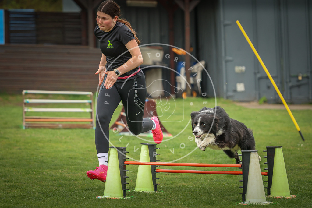 Pfotenfotografie_0L8A0814 | Hundefotografie, Tierfotograf, Pfotenfotografie, Fotoshooting Hund, Hunde Portrait, Hundesport, Hundeportraits, Heideshooting, Hunde, Sportfotograf, Hundefotograf, Turnierhundsport, THS,  - Realisiert mit Pictrs.com