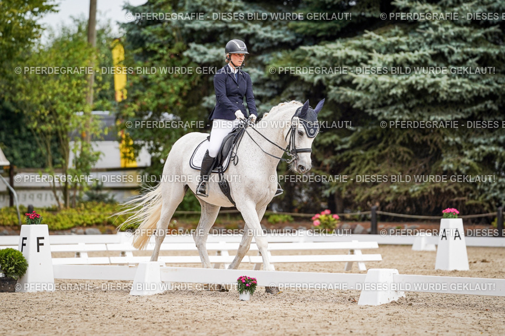 DSC02847 | Pferdegrafie