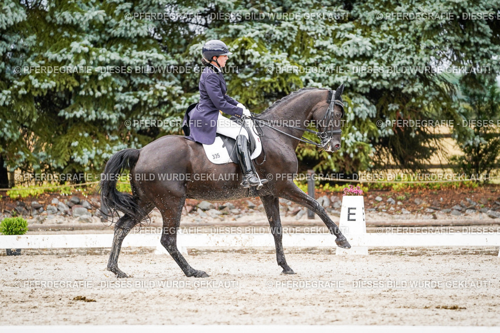 DSC09971 | Pferdegrafie