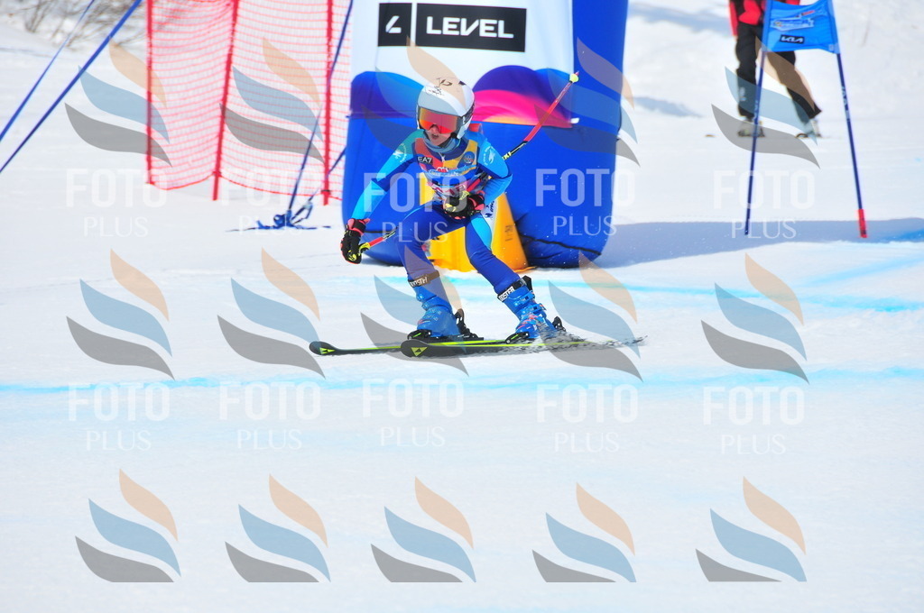 DSC_6703 | holidayphoto