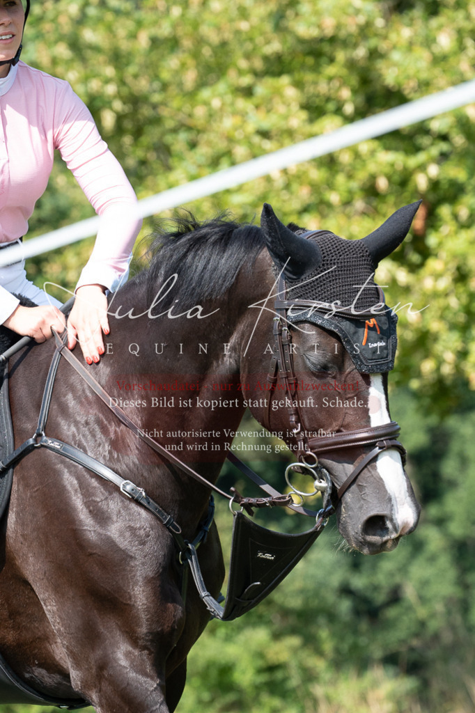 DSC_0871 | Pferde- und Turnierfotografie in Westsachsen. Pferdeportraits, Auftragszeichnungen und intuitive Kunst.