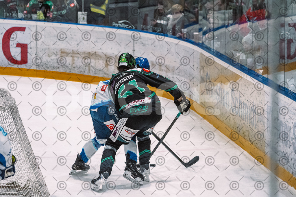 Alligators_vs_Riessersee_03_02_2026-22 | Höchstadt Alligators Fotogalerie: Eishockey-Action aus Franken. Professionelle Spielfotos, Portraits & Stadionbilder zum Download. Jetzt entdecken! - Realisiert mit Pictrs.com