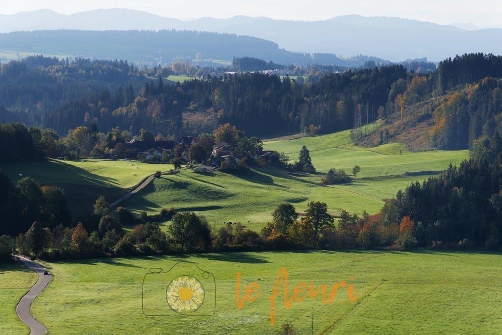 IMG_5156 | Dies ist der Shop von Florian Blum - le fleuri. Langenthal, Bern, Schweiz. Sie können hier meine oder ihre eigenen Fotos als Fotoprodukte kaufen. Tassen, Schlüsselanhänger, Taschen etc. können Sie hier gestalten.  - Realisiert mit Pictrs.com