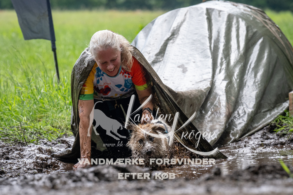 1116_ZZ92271 | kk-dogfotos