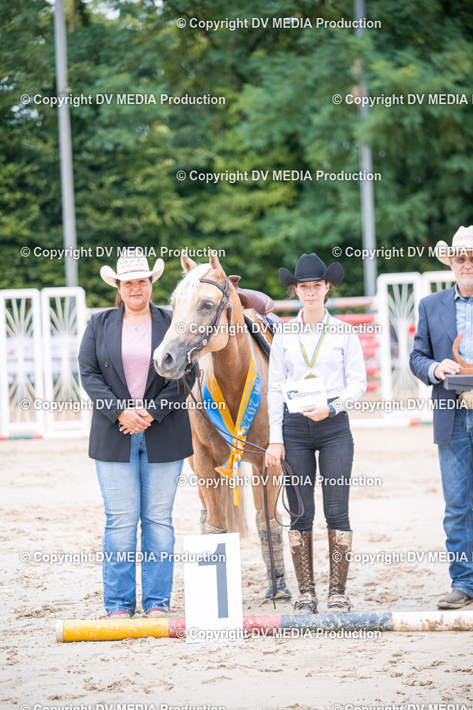 ZS2_4060 | dv-media-shop - Realisiert mit Pictrs.com