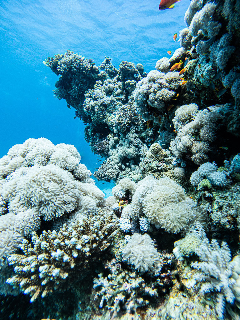 GOPR1054 | C:\DCIM\100GOPRO\GOPR1054.GPR - Realisiert mit Pictrs.com