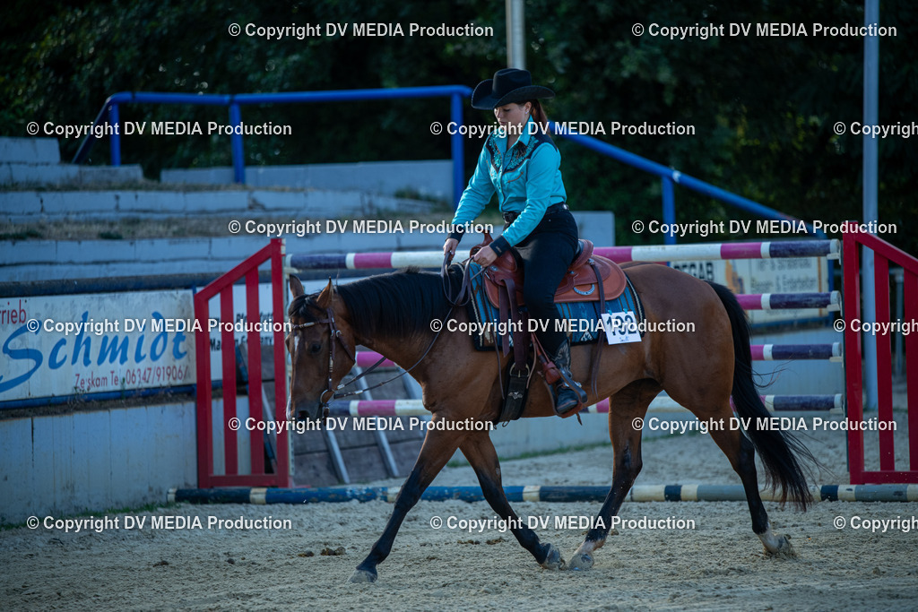 EWP_7181 | dv-media-shop - Realisiert mit Pictrs.com