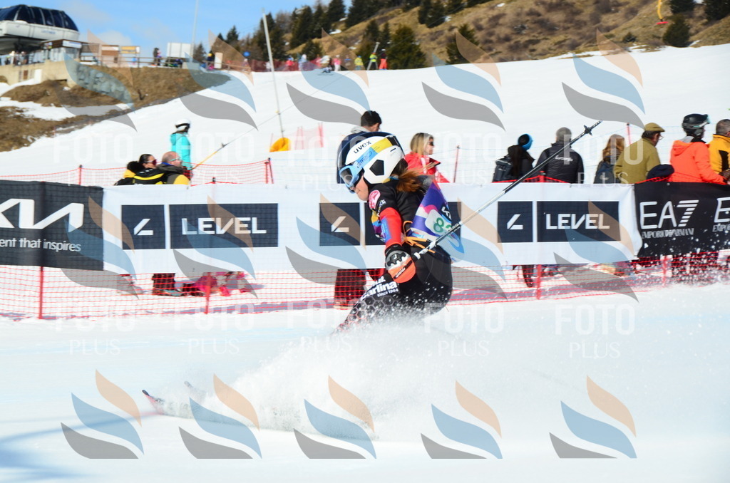 DSC_0514 | holidayphoto