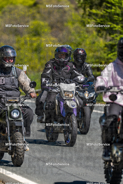 MSFotoServiceXXX417 | MSFotoService - Realisiert mit Pictrs.com